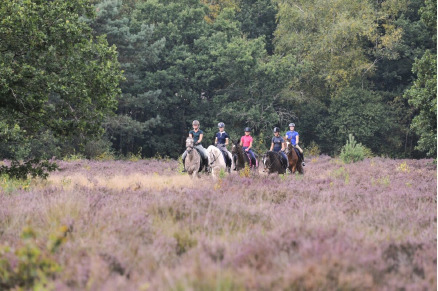 Vakantieboerderij Hoeve Heide en Wold met hottub direct aan ruiterroutes VMP010